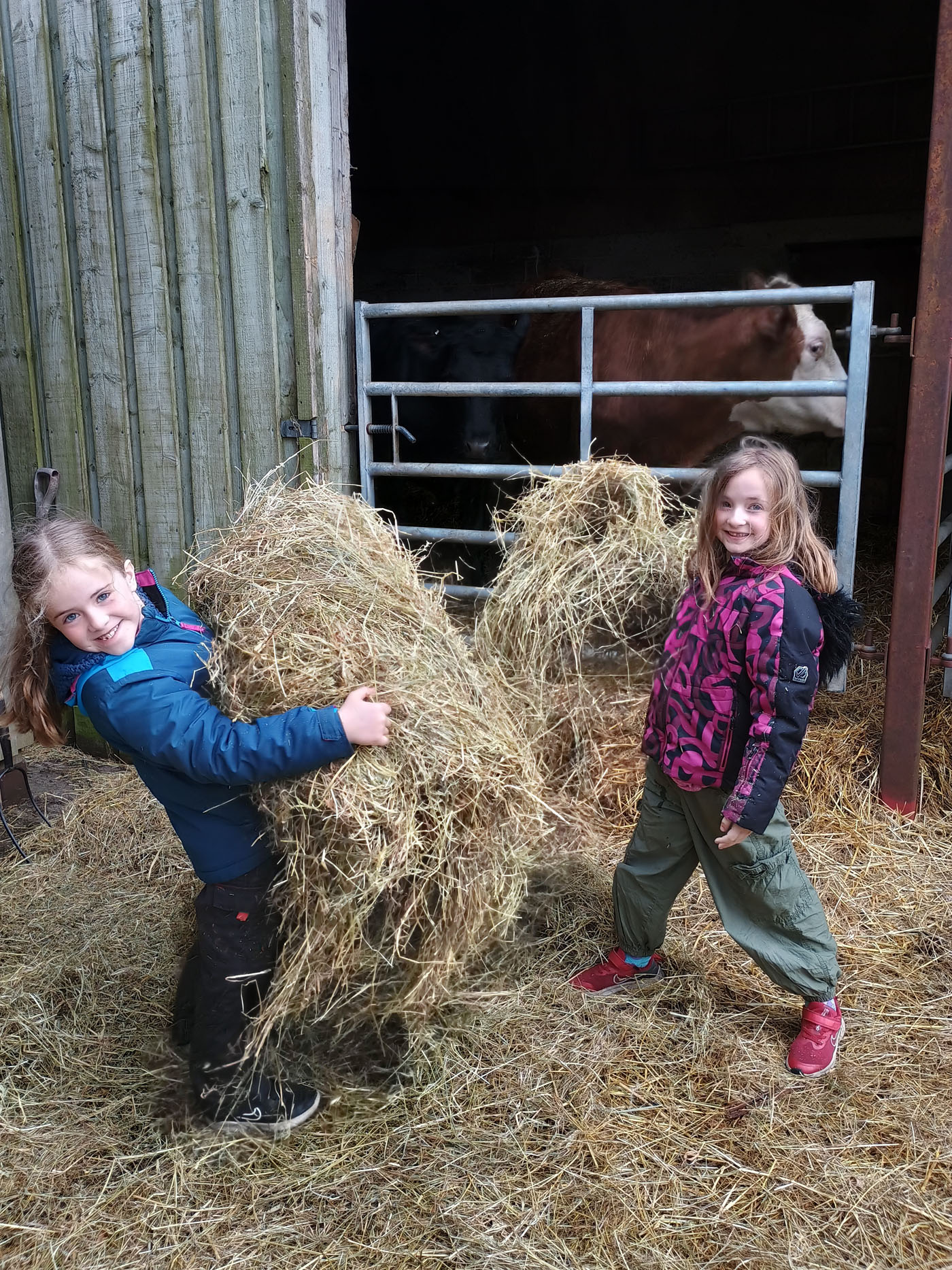 spring 2026 at Uppergate Farm
