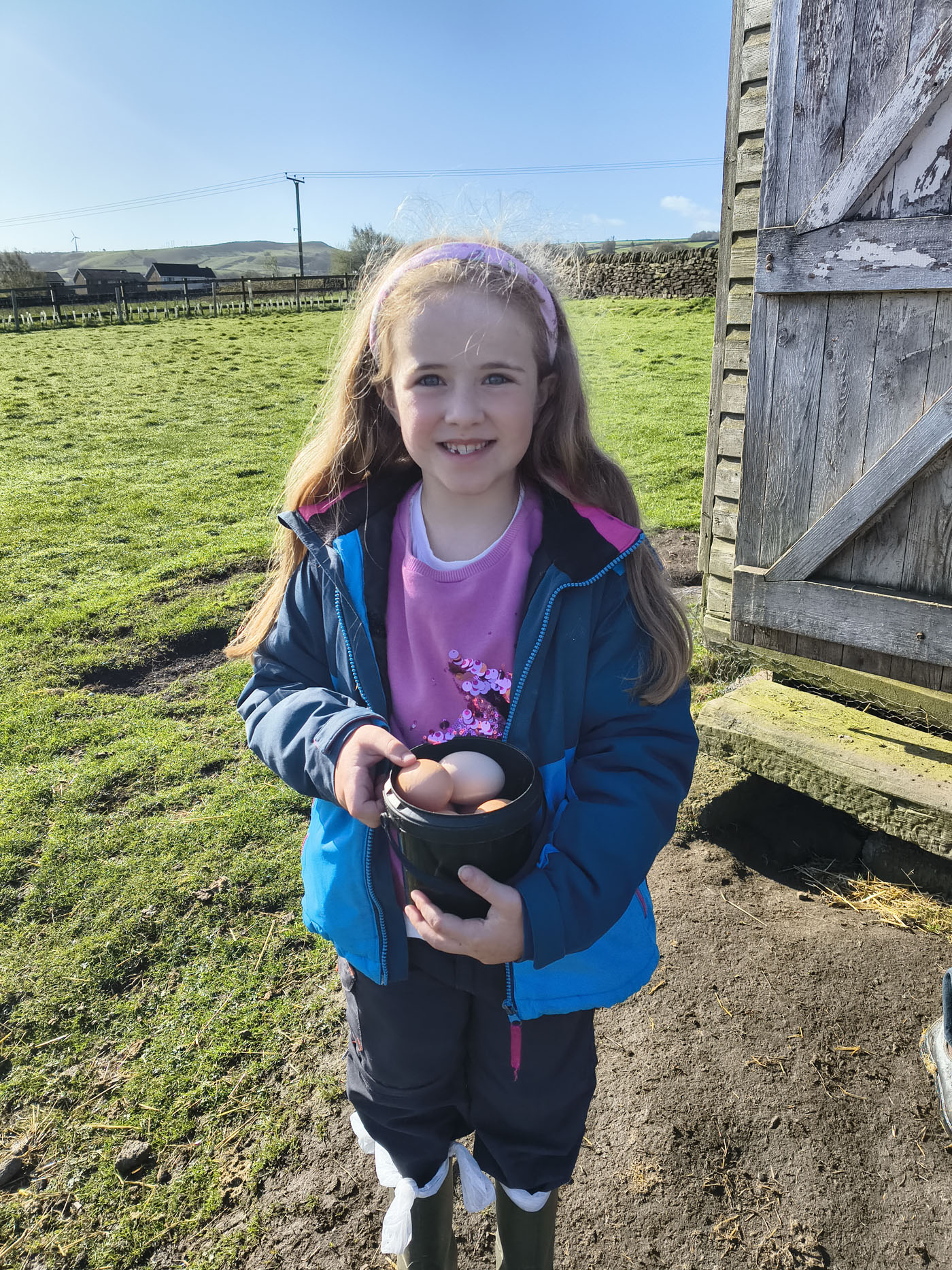 spring 2026 at Uppergate Farm