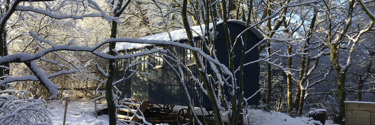 Beechwood Shepherds Hut