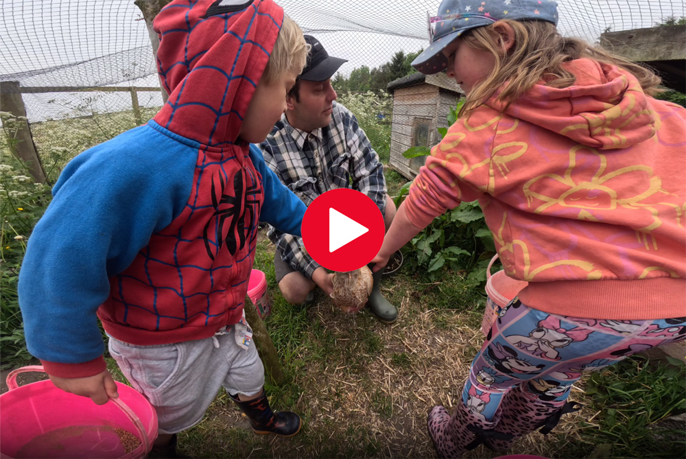 Kids on the farm