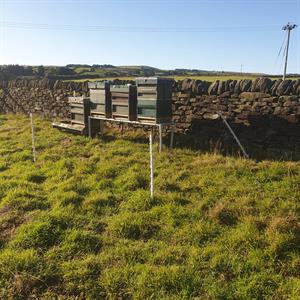 A good year for honey from Uppergate Farm bees