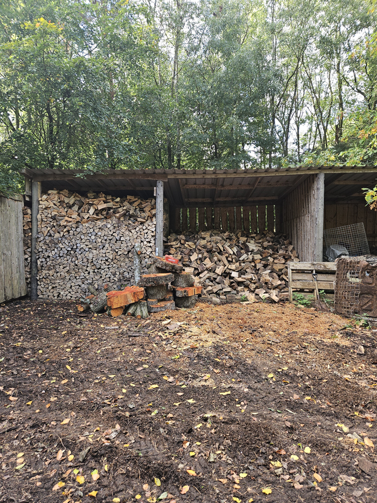 Logs